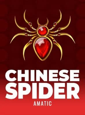 Chinese Spider