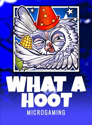 What A Hoot