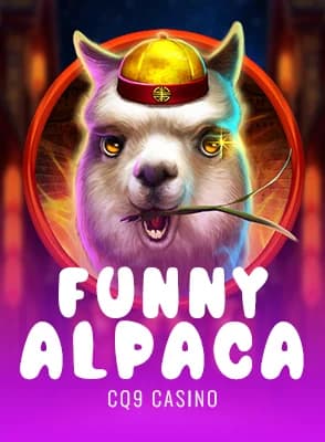 Funny Alpaca