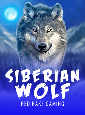 Siberian Wolf